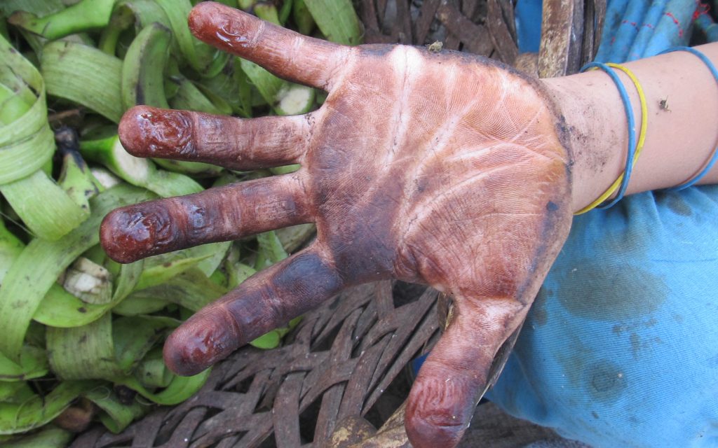Child labor in plantations in Davao