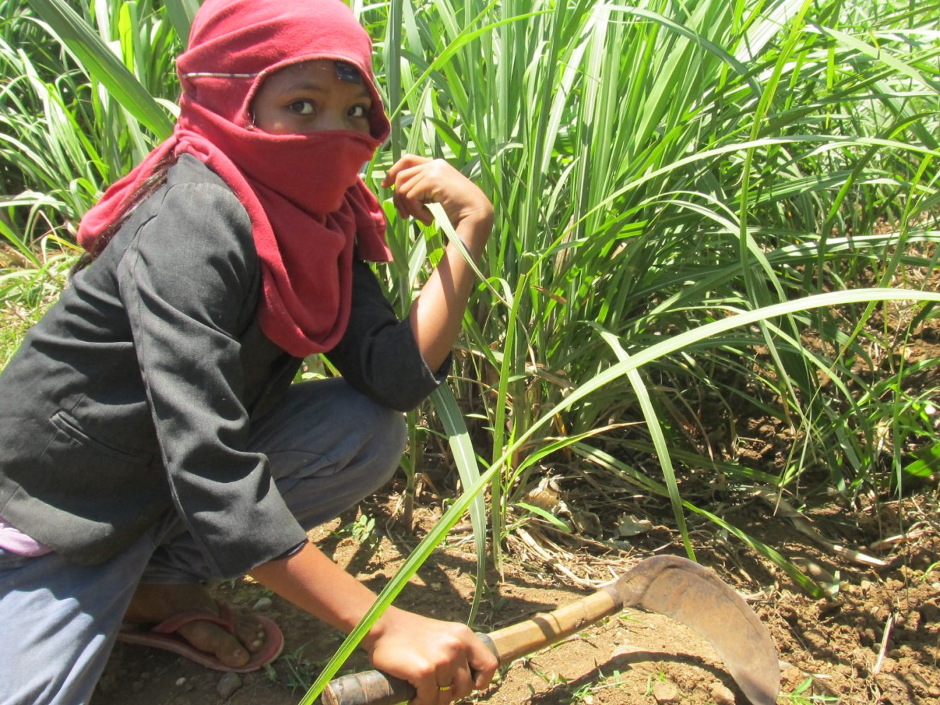 Child Labor In The Philippines EILER